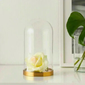 IKEA BEGÅVNING Glass Dome with Base – 10”